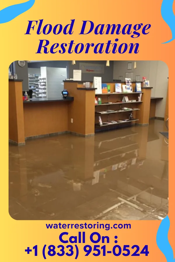 Flood Damage Restoration in Centertown, TN