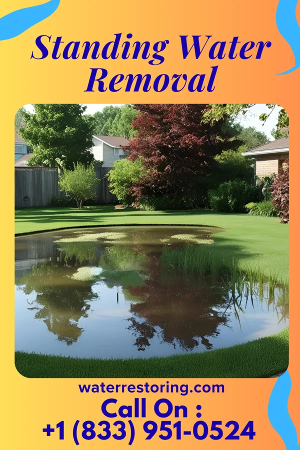 Standing Water Removal in Centertown, TN